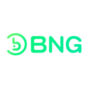 BNG電子遊戲